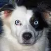 marktarrant779 - @marktarrant779 - TikTok