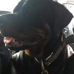 Mark Tarter - @mark.tarter - Instagram