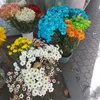 Maria Jack Tashjian Boyadjian - @mariatashjian - TikTok