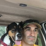 Mark Tashjian - @poloandpuppies - Instagram