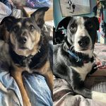 Mark Tasker - @mark_._tasker - Instagram