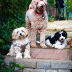 Mark Tasker - @tazner50 - Instagram