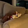Mark Tate - @mark.tate55 - TikTok