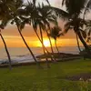 Mark_Anteater - @mark_anteater - TikTok
