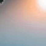 @markt_ebo - Instagram