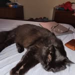 Mark Teer - @mark.teer.3 - Instagram