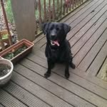 mark teer - @markteer29 - Instagram