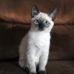 Mark Tennison - Facebook