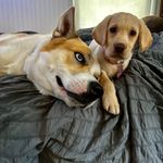Mark Teskey - @peskey1 - Instagram