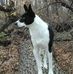 Mark Thacker - Facebook