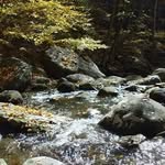 Mark Thacker - @markthacker07 - Instagram