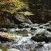 Mark Thacker - Facebook
