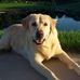 Mark Thein - Facebook
