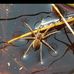 Mark Thelwell - Facebook