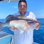 Mark Snookin Thibodeau - @swflsnookin - Instagram