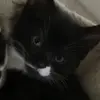 Mark Thielman - @mark.thielman - TikTok