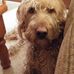 Mark Thielmann - Facebook