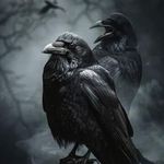 Mark Thigpen - @crow8768 - Instagram