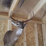 Mark Thigpen - @mark.thigpen.568 - Instagram