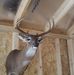 Mark Thigpen - Facebook