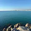 mark.thomas495 - @mark.thomas.jr4 - TikTok