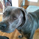 Mark Thomason - @mark.thomason.399 - Instagram