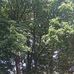 Mark Thomson - Facebook