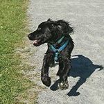 Mark Thorndyke - @mcthorndyke - Instagram