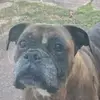Mark Thunder - @mark.thunder1 - TikTok