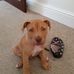 Mark Thurlow - Facebook