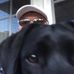 Mark Thurlow - Facebook