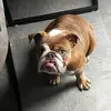 Mark Tindall - @marktindall11812 - TikTok