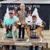 Mark Tingle - Facebook