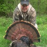 Mark Tingle - @mtingle75 - Instagram