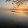 MarkTingle - @marktingle - TikTok