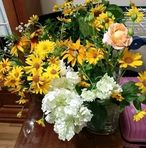 Mark Daniel - Facebook