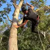 mark.tischler - @mark.tischler - TikTok