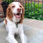 Mark Toal - @markjtoal62 - Instagram