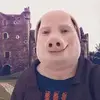 mark Todd - @marktodd33 - TikTok