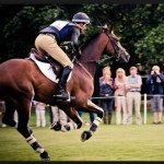 Mark Todd Offical - @mark_todd1345 - Instagram
