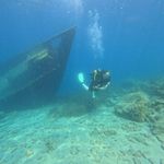 Mark Tolman - @mark__tolman - Instagram