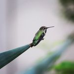 Mark Tolman - @markt_n_az - Instagram