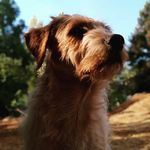 Mark Tolson - @mark_tolson15 - Instagram