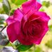 Mark Tomas - Facebook