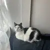 Mark Tomasko - @marktomasko5 - TikTok