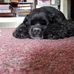 Mark Tome - Facebook