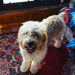 Mark Tompkins - @tompkins.m - Instagram