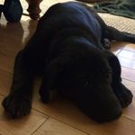 Mark Tompkins - @tompkins1219 - Instagram