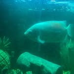 Mark Toner - @ayesongs_mark - Instagram