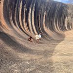 Mark Toohey - @mark.toohey.98 - Instagram